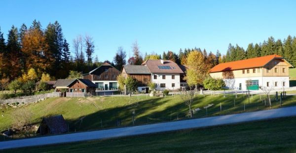 Honighaus im Waldviertel